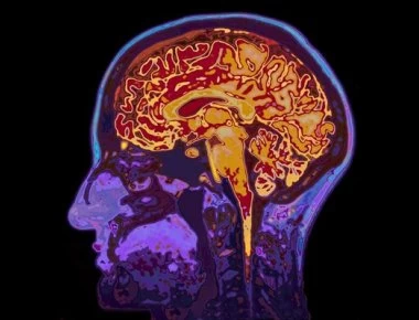 Η μη φυσιολογική ανάπτυξη του προμετωπιαίου φλοιού συνδέεται με ψυχικές ασθένειες- Τι δείχνει νέα έρευνα